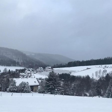 Appartement Familie Willems Winterberg 3 Kültér fotó