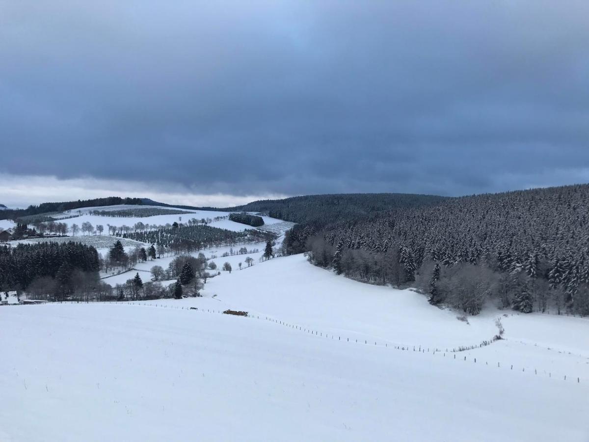 Appartement Familie Willems Winterberg 3 Kültér fotó