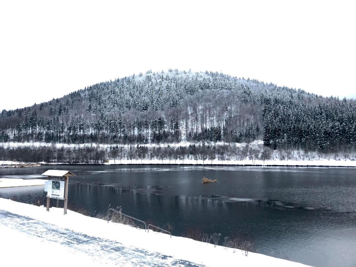 Appartement Familie Willems Winterberg 3 Kültér fotó