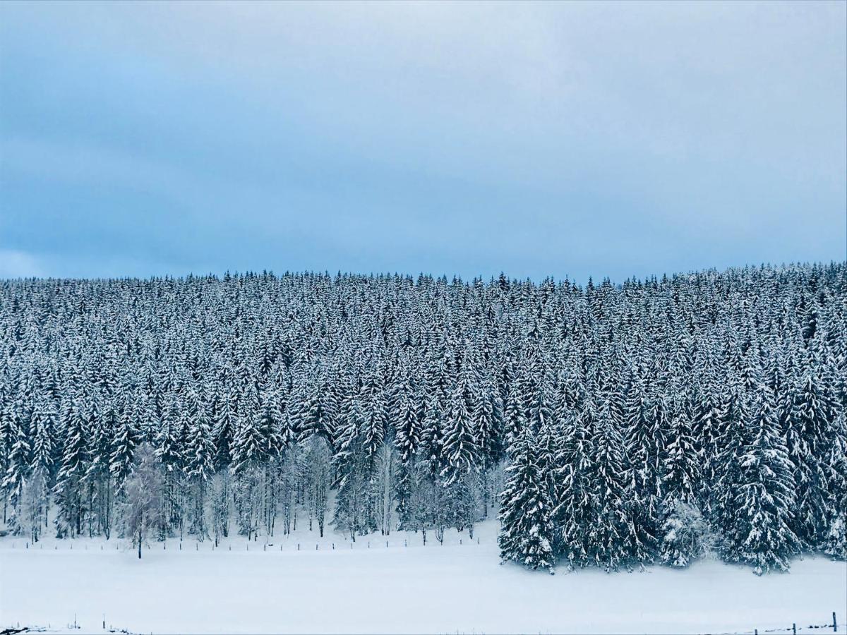 Appartement Familie Willems Winterberg 3 Kültér fotó